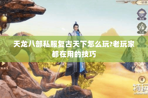 天龙八部私服复古天下怎么玩?老玩家都在用的技巧 天龙八部私服复古天下怎么玩?老玩家都在用的技巧