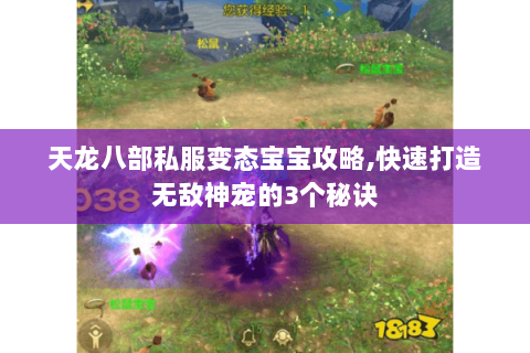 天龙八部私服变态宝宝攻略,快速打造无敌神宠的3个秘诀 天龙八部私服变态宝宝攻略,快速打造无敌神宠的3个秘诀
