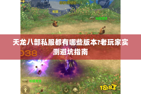 天龙八部私服都有哪些版本?老玩家实测避坑指南