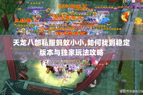 天龙八部私服蚂蚁小小,如何找到稳定版本与独家玩法攻略