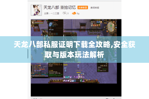 天龙八部私服证明下载全攻略,安全获取与版本玩法解析
