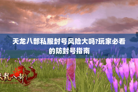 天龙八部私服封号风险大吗?玩家必看的防封号指南 天龙八部私服封号风险大吗?玩家必看的防封号指南