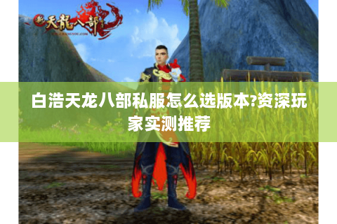 白浩天龙八部私服怎么选版本?资深玩家实测推荐
