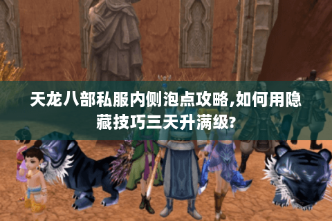 天龙八部私服内侧泡点攻略,如何用隐藏技巧三天升满级?