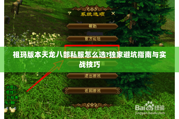 祖玛版本天龙八部私服怎么选?独家避坑指南与实战技巧 祖玛版本天龙八部私服怎么选?独家避坑指南与实战技巧