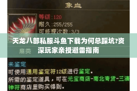 天龙八部私服斗鱼下载为何总踩坑?资深玩家亲授避雷指南