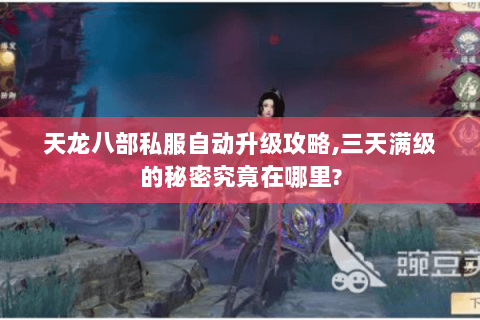 天龙八部私服自动升级攻略,三天满级的秘密究竟在哪里? 天龙八部私服自动升级攻略,三天满级的秘密究竟在哪里?