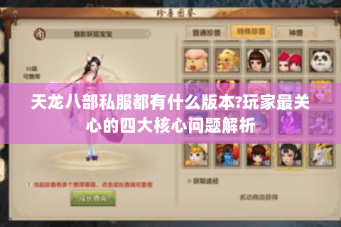 天龙八部私服都有什么版本?玩家最关心的四大核心问题解析