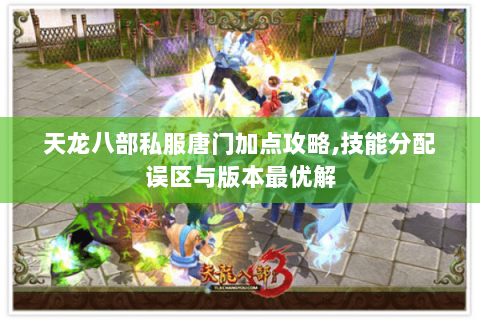 天龙八部私服唐门加点攻略,技能分配误区与版本最优解