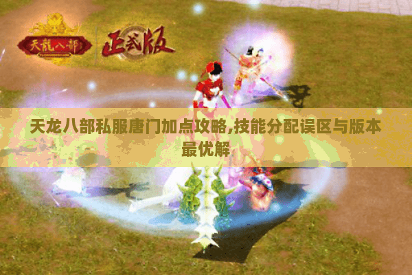 天龙八部私服唐门加点攻略,技能分配误区与版本最优解