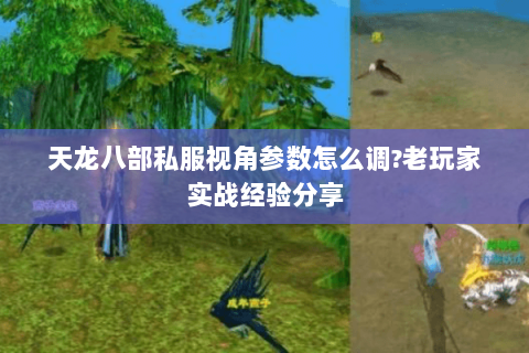 天龙八部私服视角参数怎么调?老玩家实战经验分享 天龙八部私服视角参数怎么调?老玩家实战经验分享
