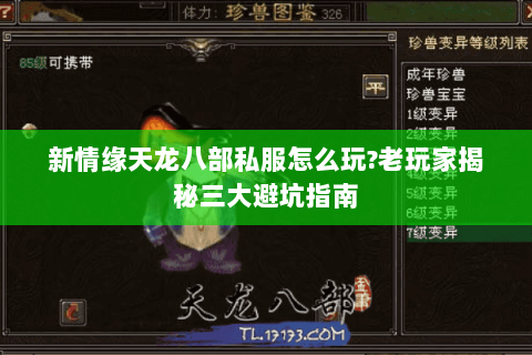 新情缘天龙八部私服怎么玩?老玩家揭秘三大避坑指南