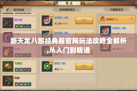新天龙八部经典服官网玩法攻略全解析,从入门到精通 新天龙八部经典服官网玩法攻略全解析,从入门到精通