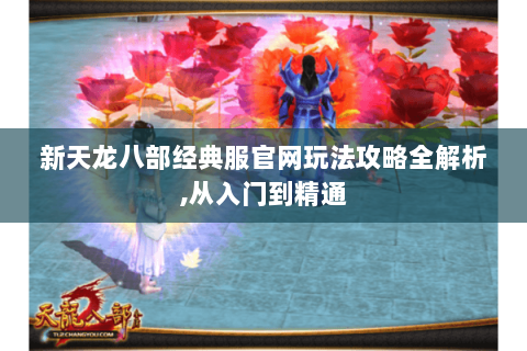 新天龙八部经典服官网玩法攻略全解析,从入门到精通 新天龙八部经典服官网玩法攻略全解析,从入门到精通