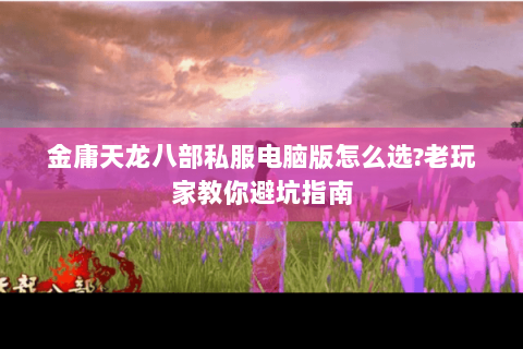 金庸天龙八部私服电脑版怎么选?老玩家教你避坑指南 金庸天龙八部私服电脑版怎么选?老玩家教你避坑指南