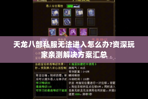 天龙八部私服无法进入怎么办?资深玩家亲测解决方案汇总 天龙八部私服无法进入怎么办?资深玩家亲测解决方案汇总