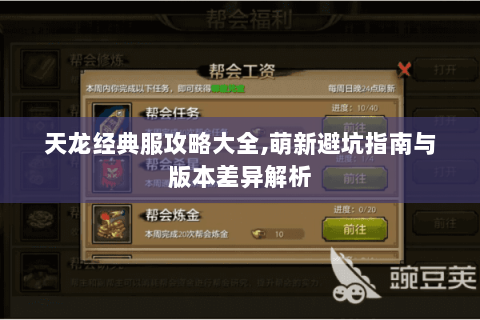 天龙经典服攻略大全,萌新避坑指南与版本差异解析