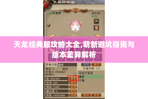 天龙经典服攻略大全,萌新避坑指南与版本差异解析