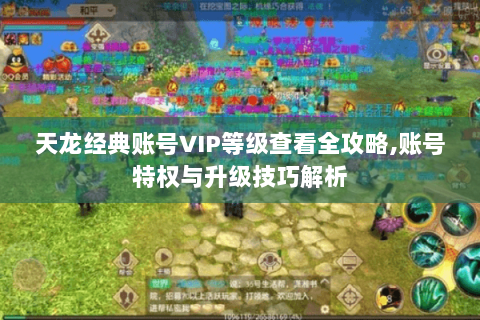 天龙经典账号VIP等级查看全攻略,账号特权与升级技巧解析