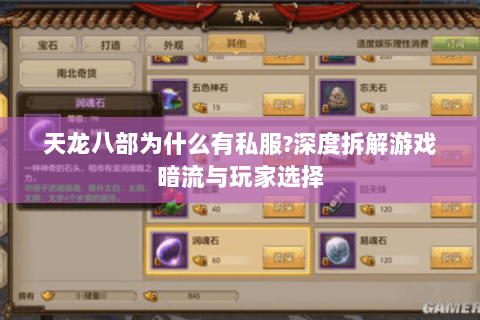 天龙八部为什么有私服?深度拆解游戏暗流与玩家选择 天龙八部为什么有私服?深度拆解游戏暗流与玩家选择