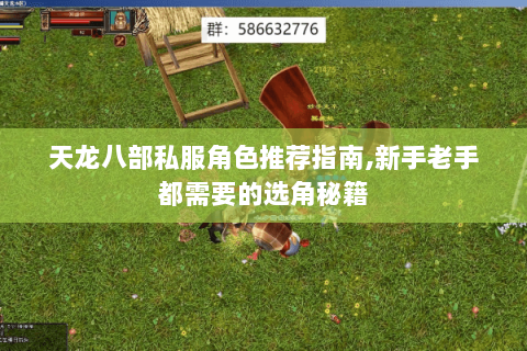 天龙八部私服角色推荐指南,新手老手都需要的选角秘籍 天龙八部私服角色推荐指南,新手老手都需要的选角秘籍