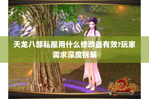 天龙八部私服用什么修改最有效?玩家需求深度拆解 天龙八部私服用什么修改最有效?玩家需求深度拆解