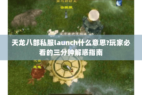 天龙八部私服launch什么意思?玩家必看的三分钟解惑指南 天龙八部私服launch什么意思?玩家必看的三分钟解惑指南