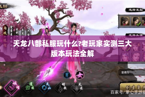 天龙八部私服玩什么?老玩家实测三大版本玩法全解 天龙八部私服玩什么?老玩家实测三大版本玩法全解