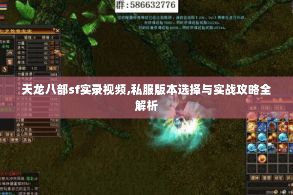 天龙八部sf实录视频,私服版本选择与实战攻略全解析
