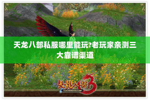 天龙八部私服哪里能玩?老玩家亲测三大靠谱渠道