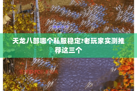天龙八部哪个私服稳定?老玩家实测推荐这三个 天龙八部哪个私服稳定?老玩家实测推荐这三个