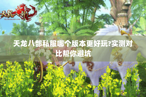 天龙八部私服哪个版本更好玩?实测对比帮你避坑
