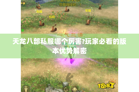 天龙八部私服哪个厉害?玩家必看的版本优势解密 天龙八部私服哪个厉害?玩家必看的版本优势解密