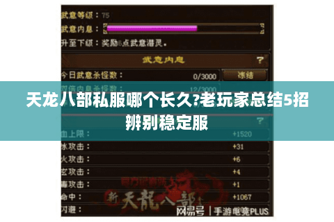 天龙八部私服哪个长久?老玩家总结5招辨别稳定服 天龙八部私服哪个长久?老玩家总结5招辨别稳定服