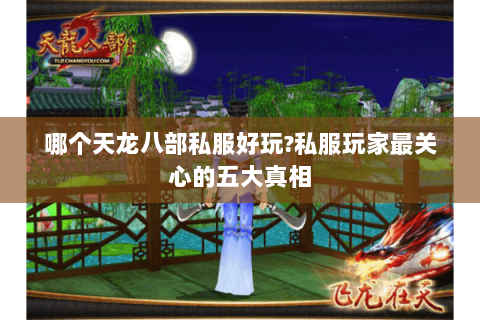 哪个天龙八部私服好玩?私服玩家最关心的五大真相 哪个天龙八部私服好玩?私服玩家最关心的五大真相