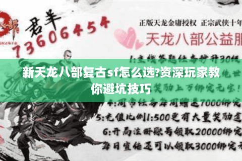 新天龙八部复古sf怎么选?资深玩家教你避坑技巧 新天龙八部复古sf怎么选?资深玩家教你避坑技巧